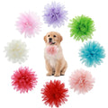 8 Pcs Dog Collar Flowers Pet Collar Flowers Dog Collar Charms Dog Bows Girl Dog Accessories Dog Bows with Rubber Bands